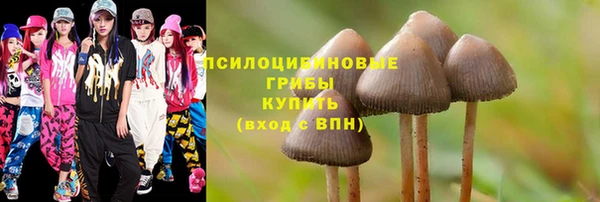 бутират Горно-Алтайск