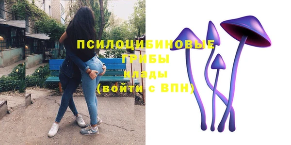 ECSTASY Горнозаводск