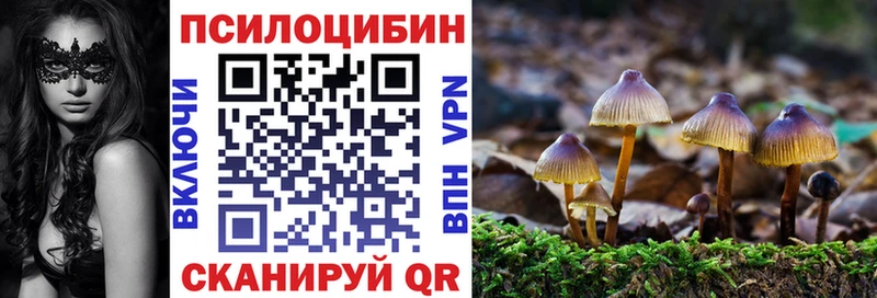 Галлюциногенные грибы Psilocybine cubensis  Киреевск 