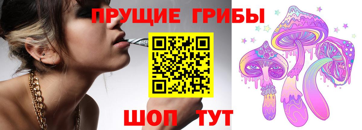 Киреевск  Псилоцибиновые грибы GOLDEN TEACHER  Вход с VPN 